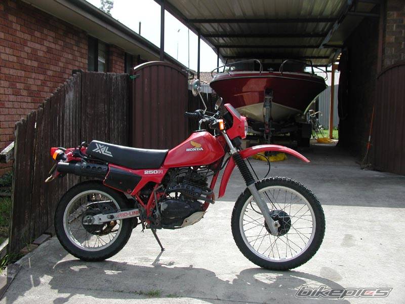 1983 HONDA XR 250 | Picture 30495 motorcycle photo