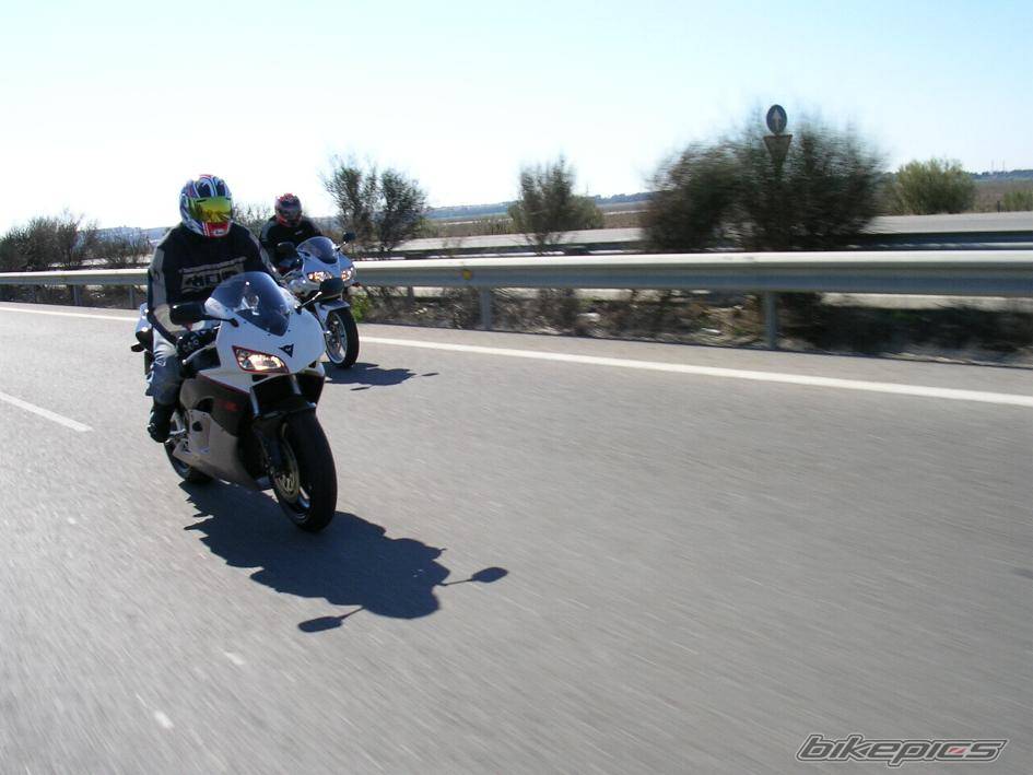 2004 HONDA CBR 1000  RR | Picture 304987 motorcycle photo