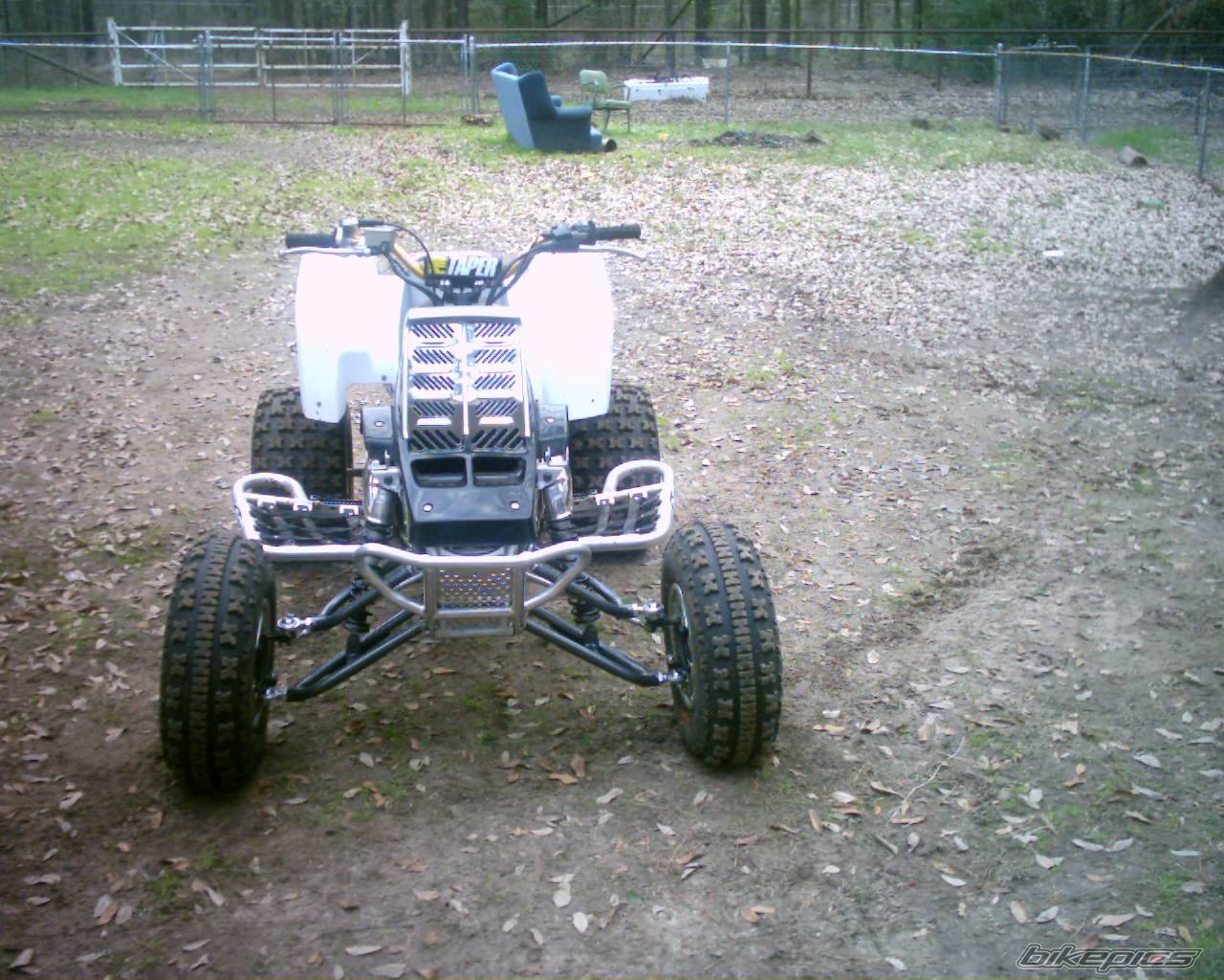 2002 YAMAHA BANSHEE | Picture 305124 motorcycle photo