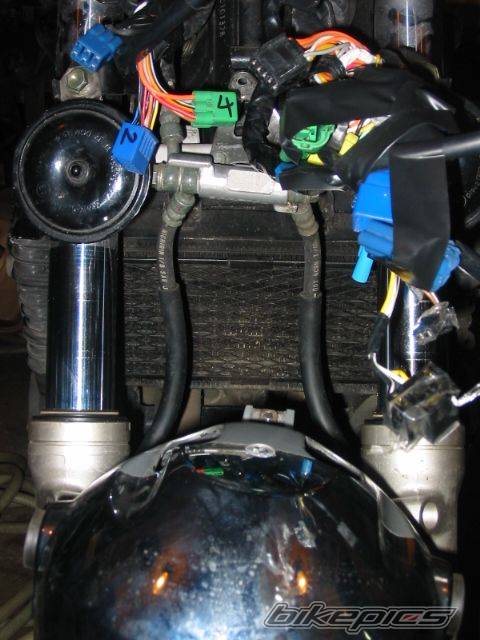 2001 SUZUKI BANDIT 1200 | Picture 305157 motorcycle photo
