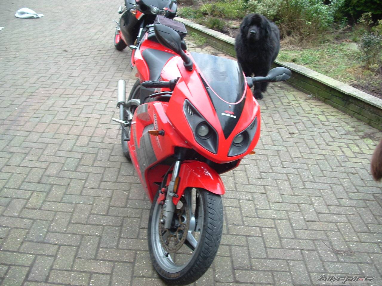 2004 RIEJU RS2 MATRIX | Picture 305308 motorcycle photo