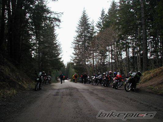 2001 KAWASAKI KLR 650 | Picture 305794 motorcycle photo