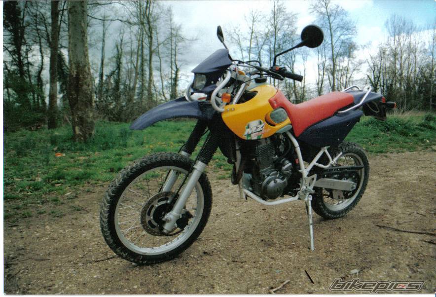 2000 MZ BAGHIRA | Picture 305844 motorcycle photo