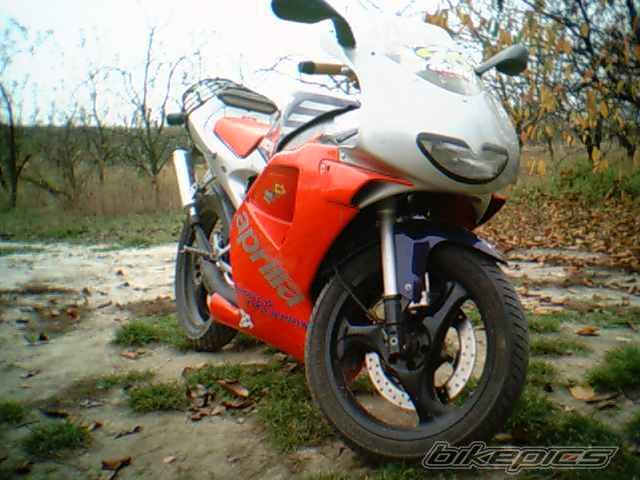 1998 APRILIA RS 50 | Picture 306044 motorcycle photo