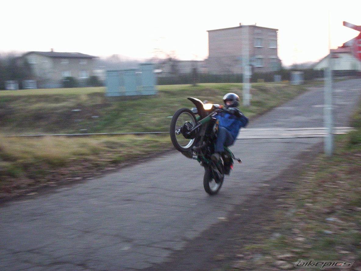 1998 KAWASAKI KMX 125 | Picture 306447 motorcycle photo