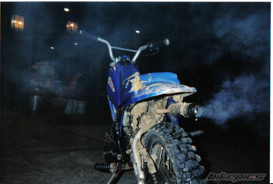 2002 YAMAHA PW 80 | Picture 306839 motorcycle photo