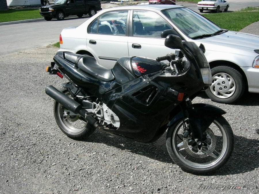 1987 HONDA CBR 600 | Picture 307057 motorcycle photo