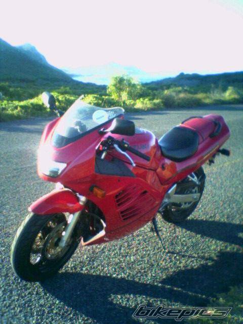 1994 SUZUKI RF 400 | Picture 307907 motorcycle photo