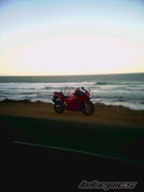 1994 SUZUKI RF 400 | Picture 307913 motorcycle photo