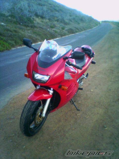 1994 SUZUKI RF 400 | Picture 307914 motorcycle photo