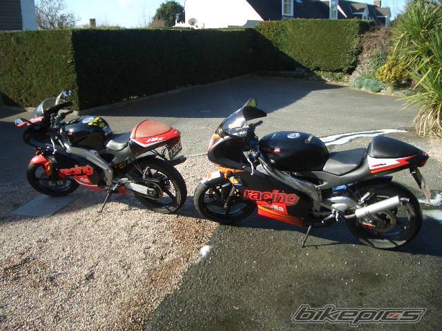 2006 APRILIA RS 125 | Picture 308002 motorcycle photo