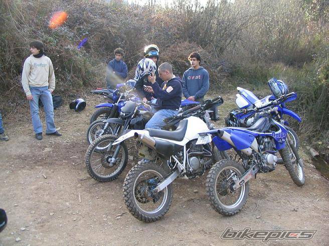 2004 AJP PR4 125 | Picture 308088 motorcycle photo