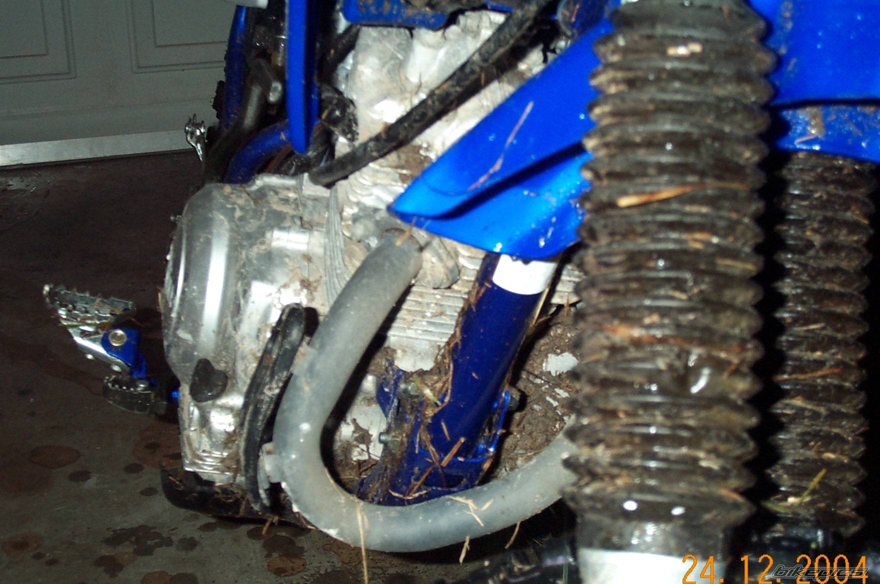 2002 YAMAHA TTR 125 | Picture 308178 motorcycle photo