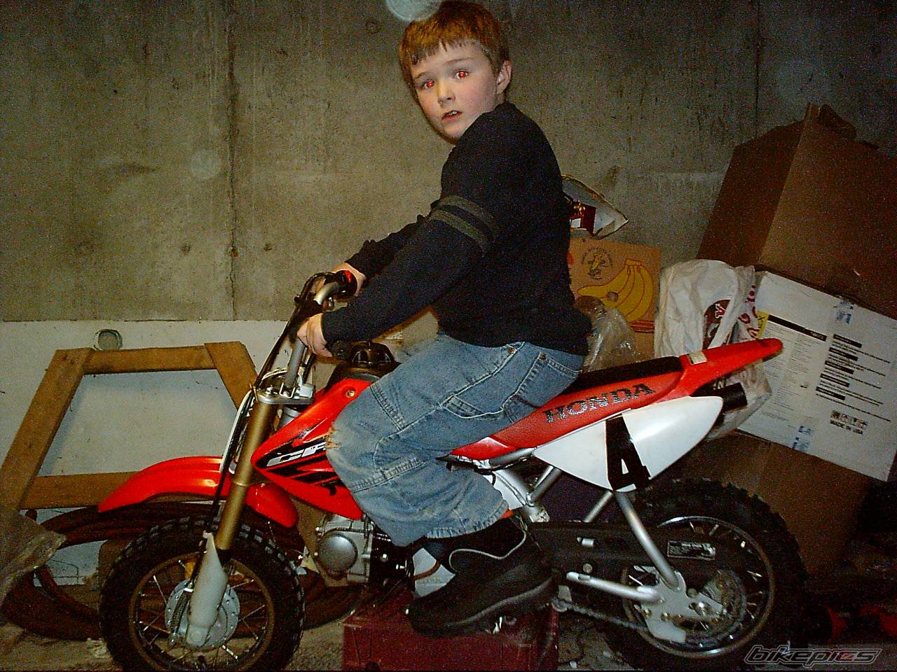 2004 HONDA CRF 50 | Picture 308220 motorcycle photo