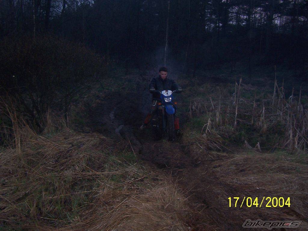 2000 DERBI SENDA R 50 | Picture 308307 motorcycle photo