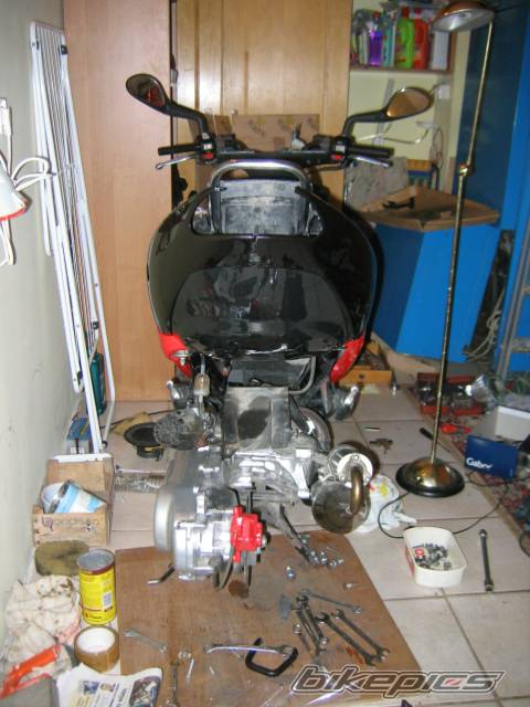1999 PEUGEOT SPEEDFIGHT | Picture 308564 motorcycle photo