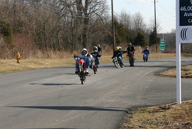 2005 HONDA CRF 50 | Picture 309088 motorcycle photo