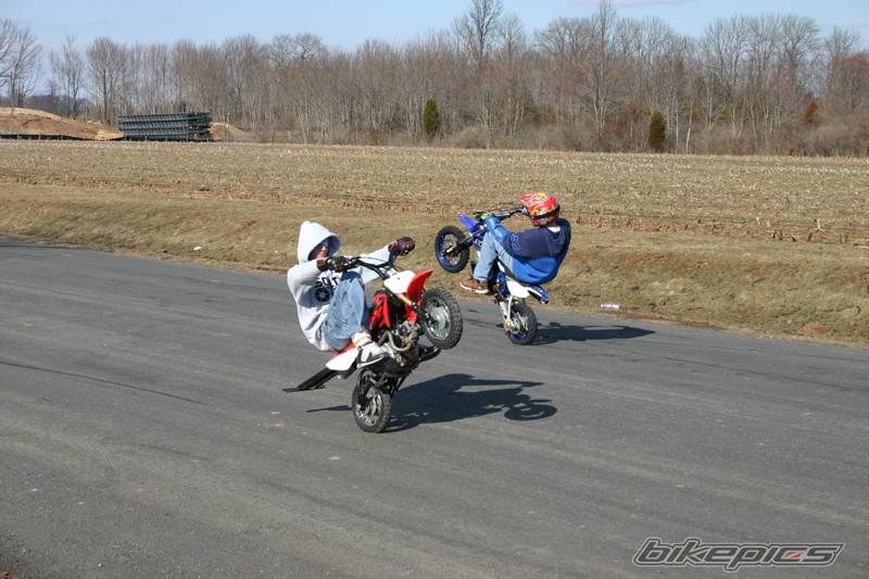 2005 HONDA CRF 50 | Picture 309089 motorcycle photo