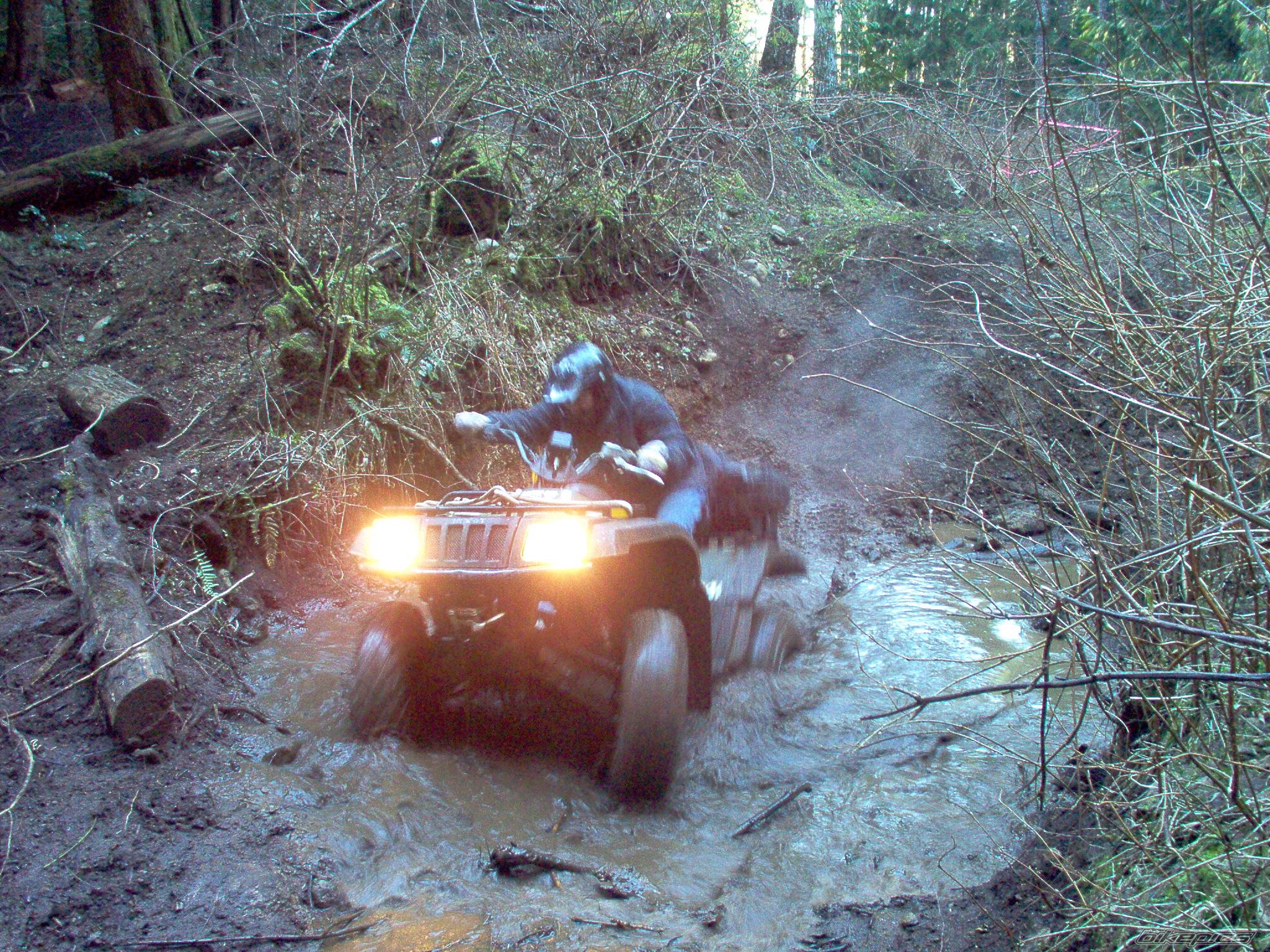 2005 ARCTIC CAT 500 4X4 | Picture 309146 motorcycle photo