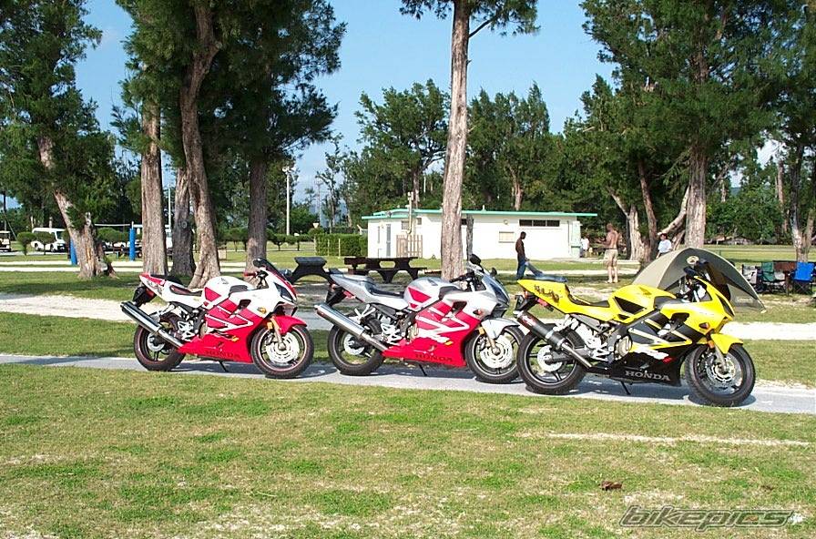2002 HONDA CBR 600 | Picture 309150 motorcycle photo