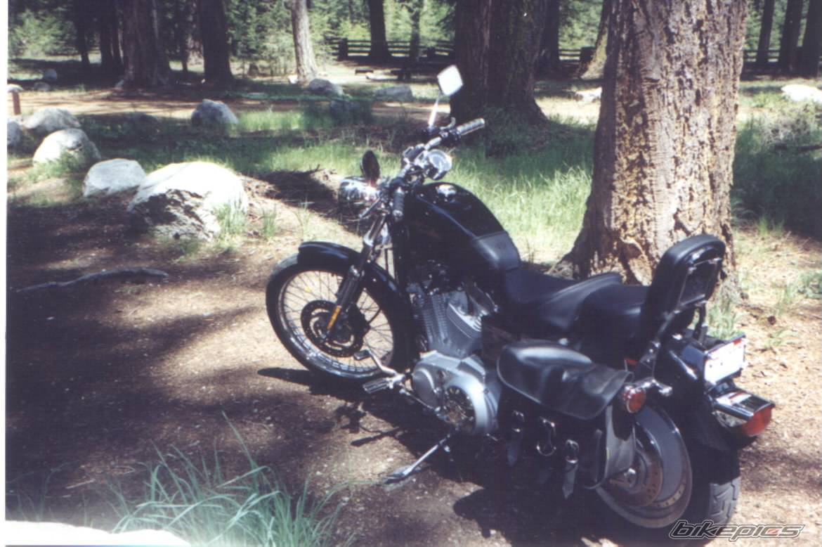 2001 HARLEY DAVIDSON XL 883C | Picture 30925 motorcycle photo