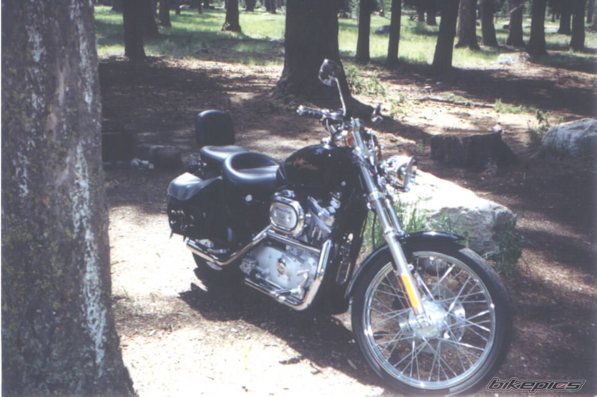 2001 HARLEY DAVIDSON XL 883C | Picture 30927 motorcycle photo