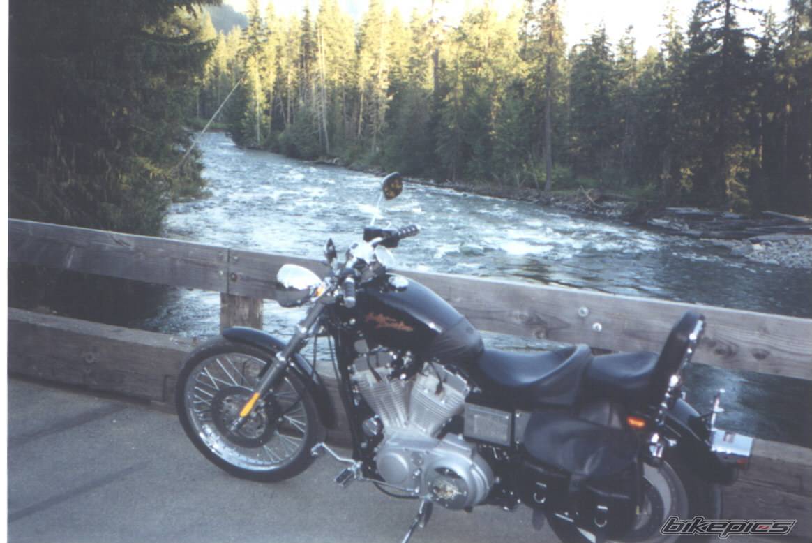 2001 HARLEY DAVIDSON XL 883C | Picture 30928 motorcycle photo