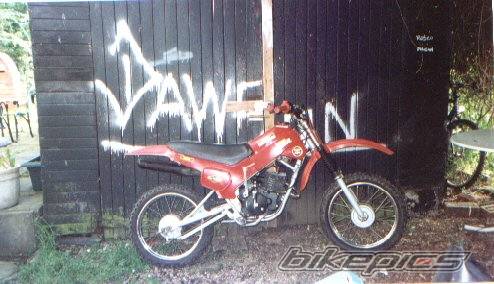 1999 CHAMP 50 | Picture 309398 motorcycle photo