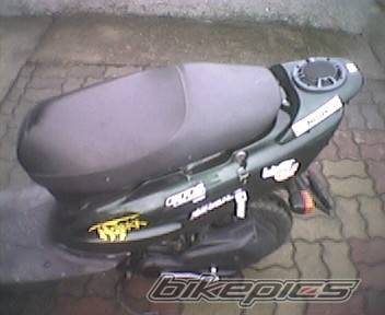 1996 HONDA SFX | Picture 309436 motorcycle photo