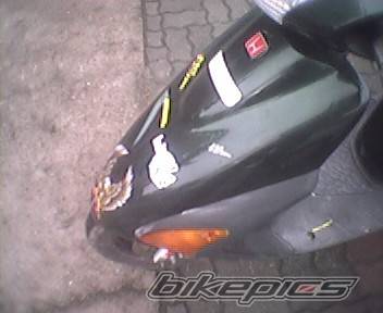 1996 HONDA SFX | Picture 309440 motorcycle photo