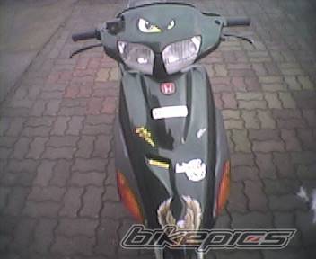1996 HONDA SFX | Picture 309443 motorcycle photo