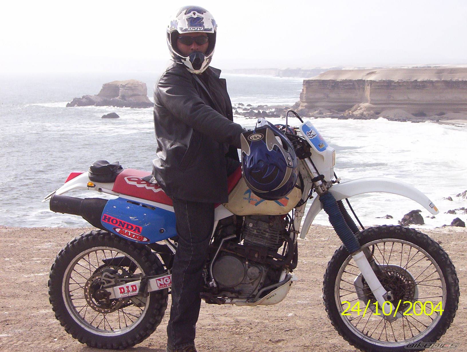 1992 HONDA XR 600 | Picture 309569 motorcycle photo