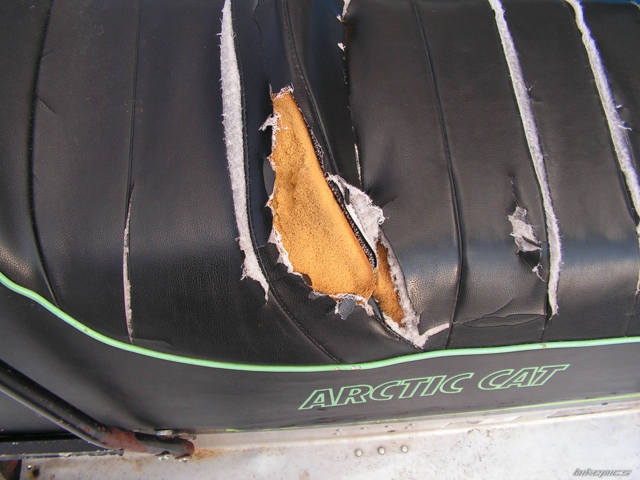 1989 ARCTIC CAT JAG 440 | Picture 309663 motorcycle photo