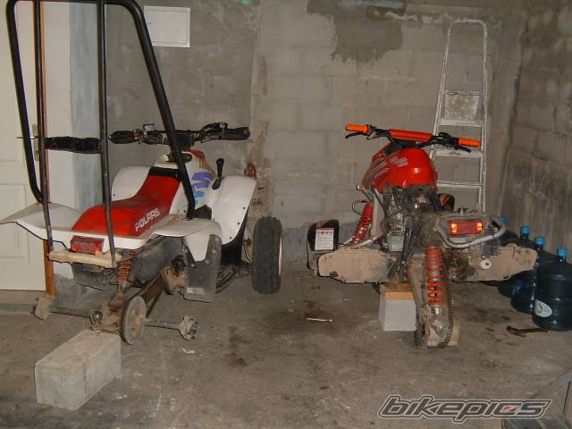 2005 POLARIS TRAIL BLAZER 250 | Picture 309694 motorcycle photo