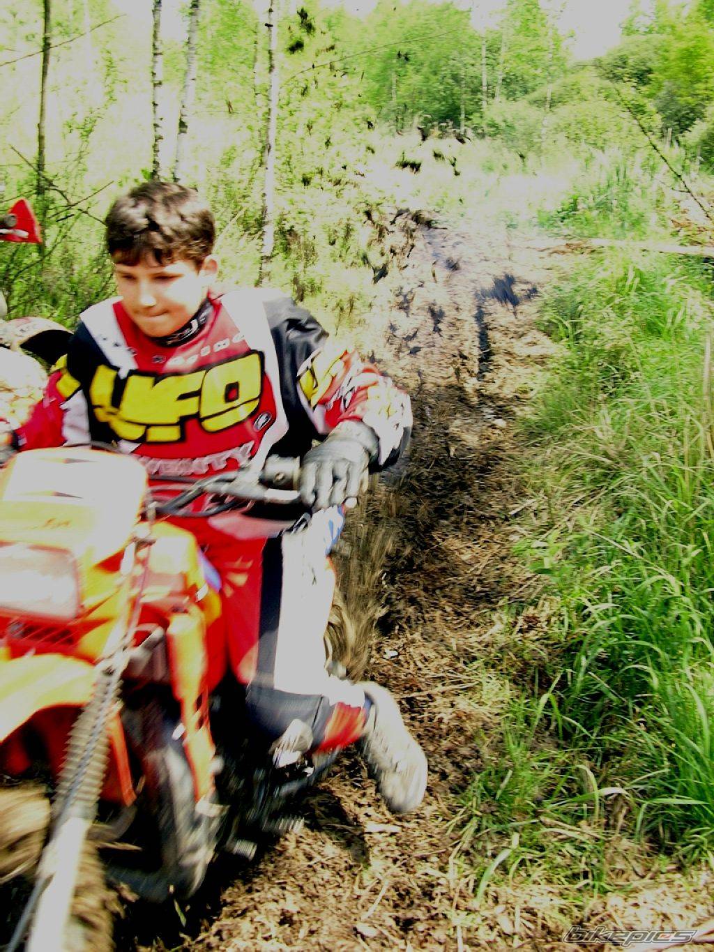 1989 HONDA MTX 125 | Picture 310581 motorcycle photo