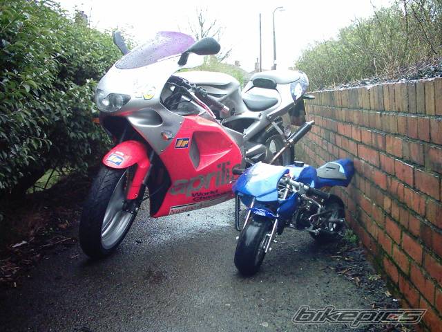 2004 BLATA REPLICA | Picture 310702 motorcycle photo
