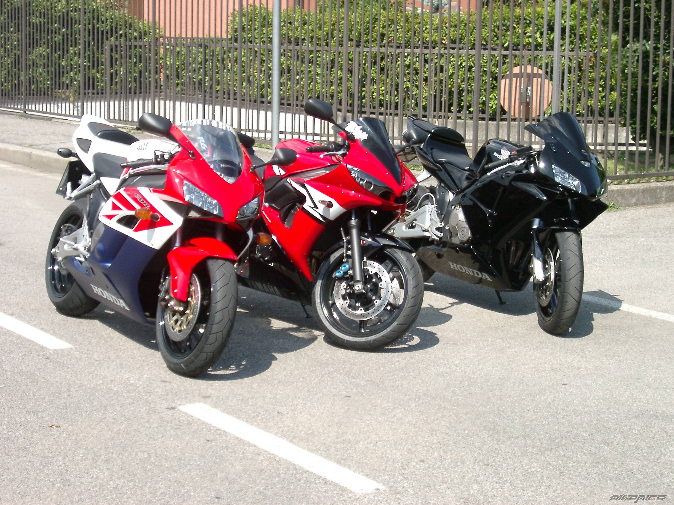 2003 HONDA CBR 600 | Picture 310802 motorcycle photo