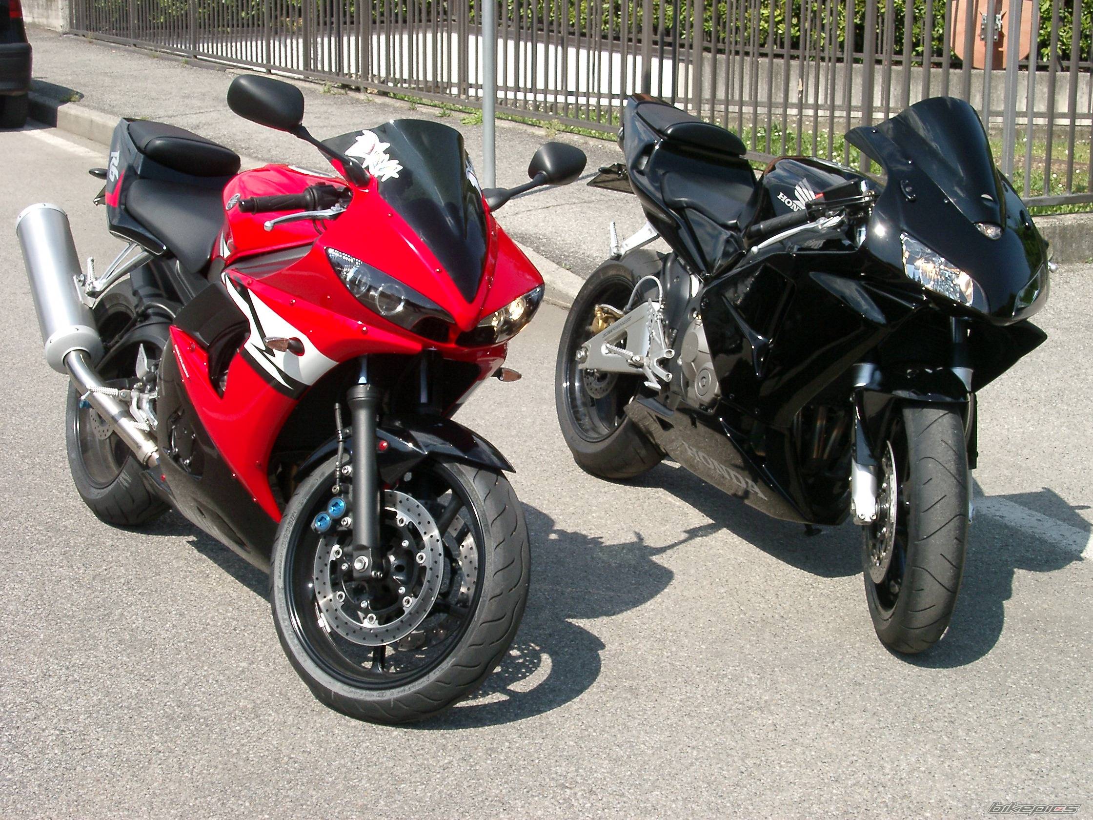 2003 HONDA CBR 600 | Picture 310803 motorcycle photo