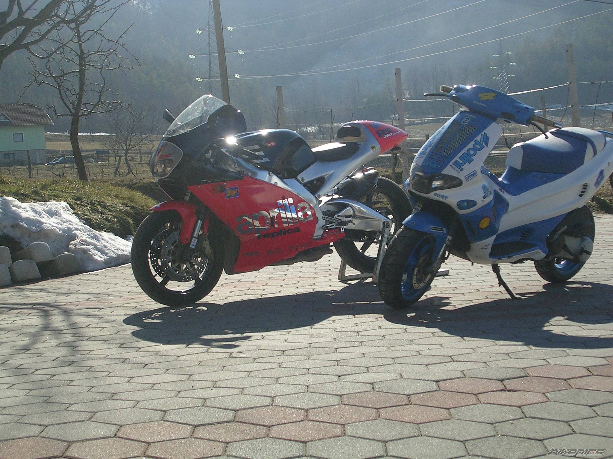 1999 APRILIA RS 250 | Picture 311056 motorcycle photo