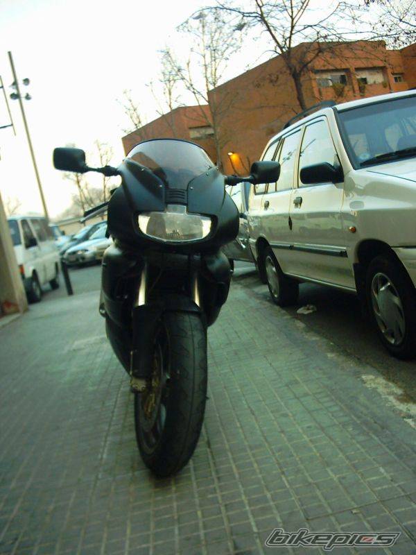 2001 DUCATI 900 SS | Picture 311206 motorcycle photo