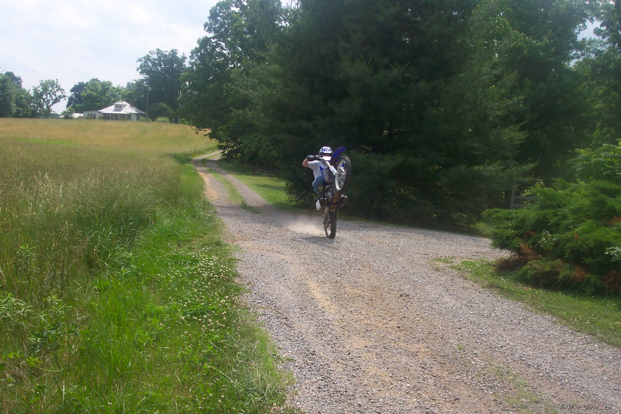 2001 YAMAHA YZ 250F | Picture 311545 motorcycle photo