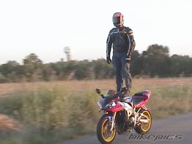 2001 YAMAHA YZF R1 | Picture 31170 motorcycle photo