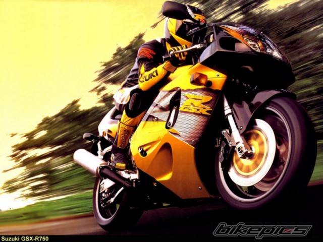 2004 SUZUKI GSX R 1000 | Picture 311979 motorcycle photo