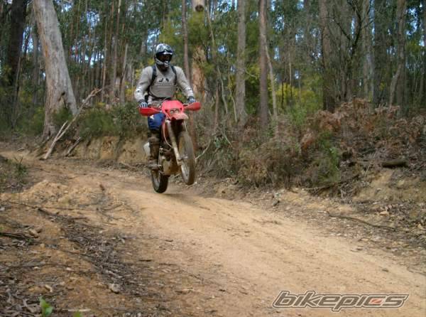 2002 HONDA XR 400 | Picture 312375 motorcycle photo