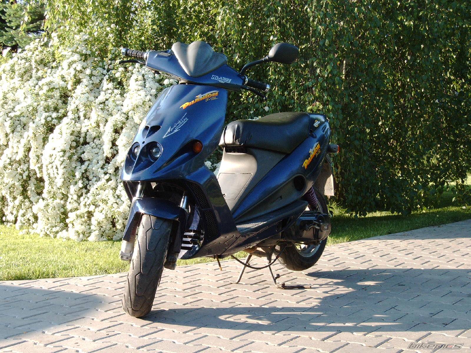 1995 MALAGUTI PHANTOM 50 F12 | Picture 312452 motorcycle photo