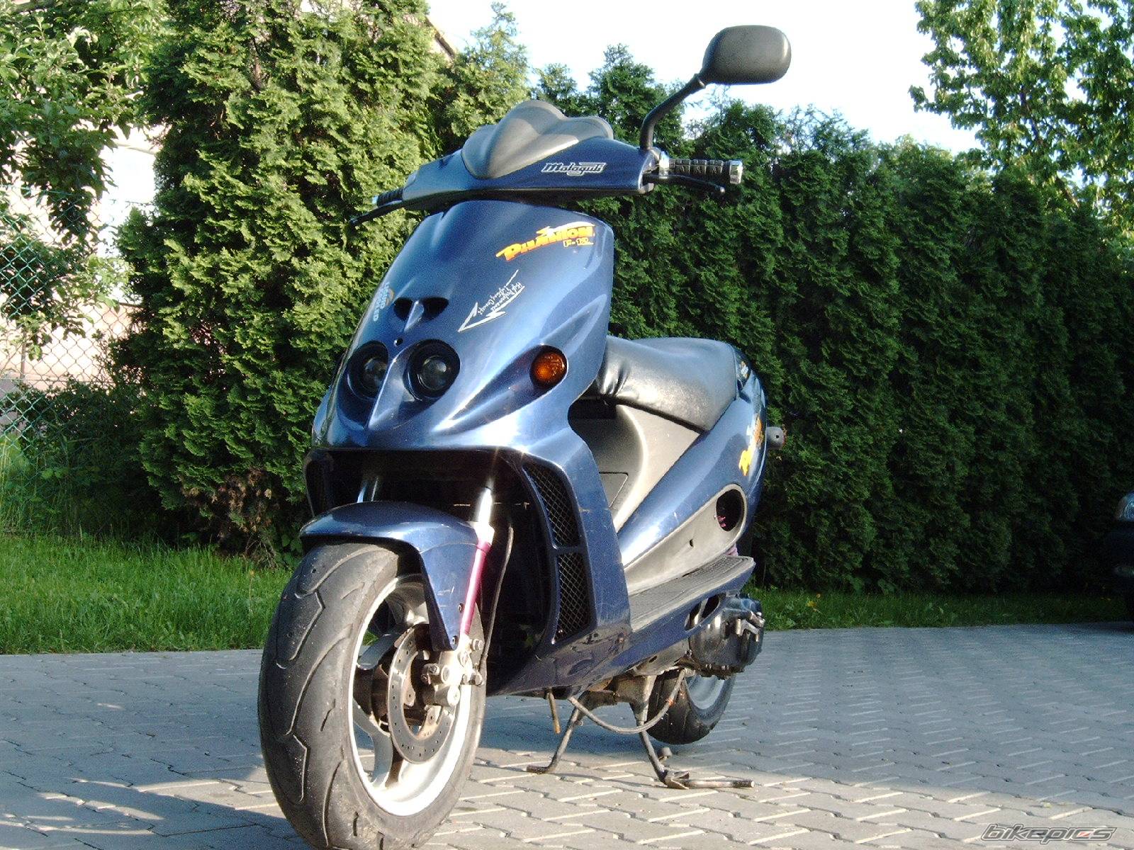 1995 MALAGUTI PHANTOM 50 F12 | Picture 312456 motorcycle photo