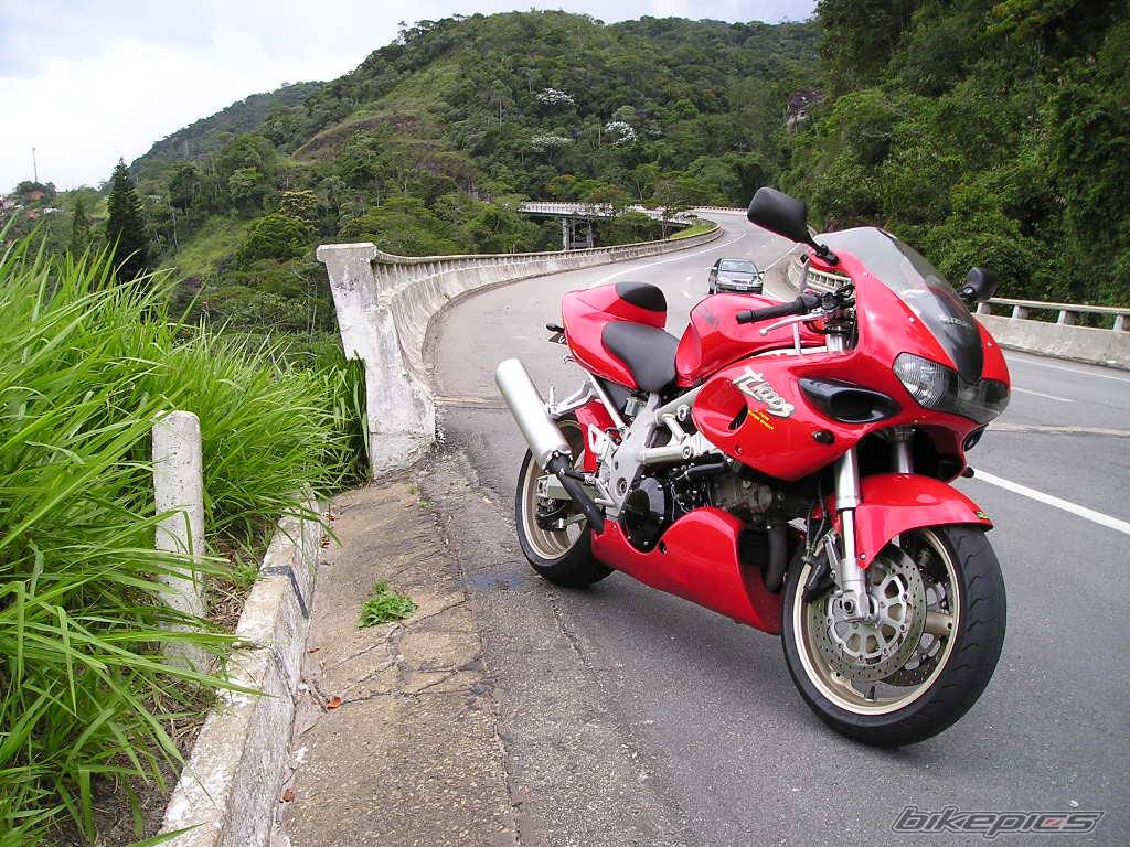 2002 SUZUKI TL1000S | Picture 312944 motorcycle photo