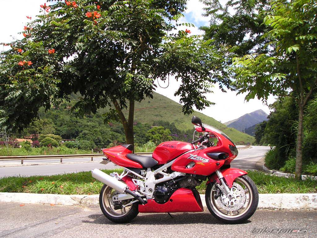 2002 SUZUKI TL1000S | Picture 312946 motorcycle photo
