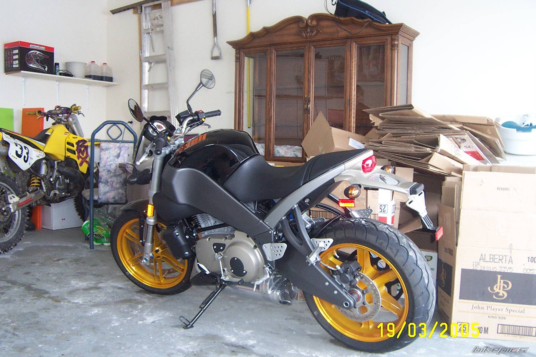 2004 BUELL XB12S LIGHTNING | Picture 312991 motorcycle photo