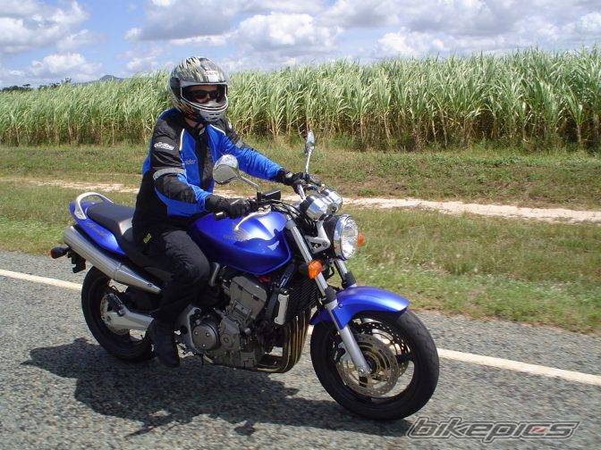 2004 HONDA CB 900 | Picture 313246 motorcycle photo
